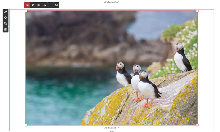 Image resizing in the modern SharePoint experience